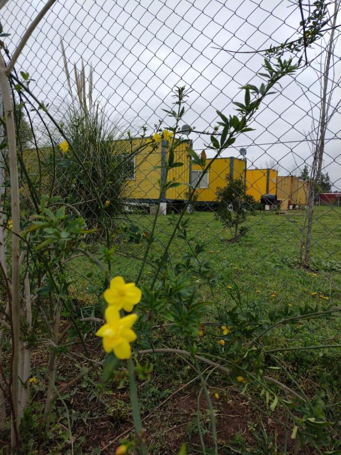 Terrabox Apart De Contenedores Olivera 外观 照片